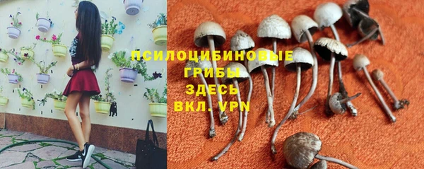 марки nbome Гвардейск