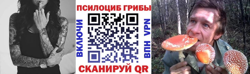 закладка  Менделеевск  Псилоцибиновые грибы GOLDEN TEACHER 